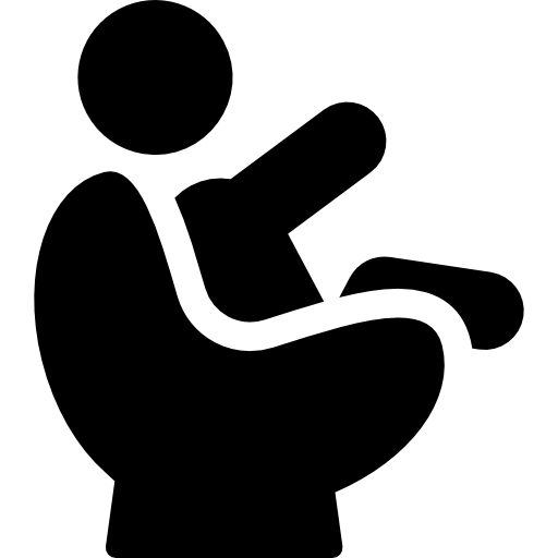 Car Seat Icon