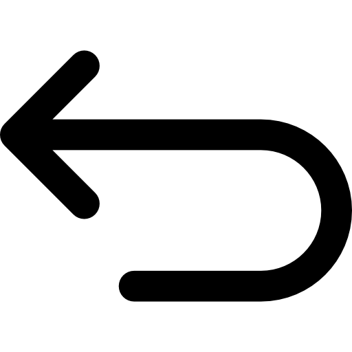 Passenger Icon